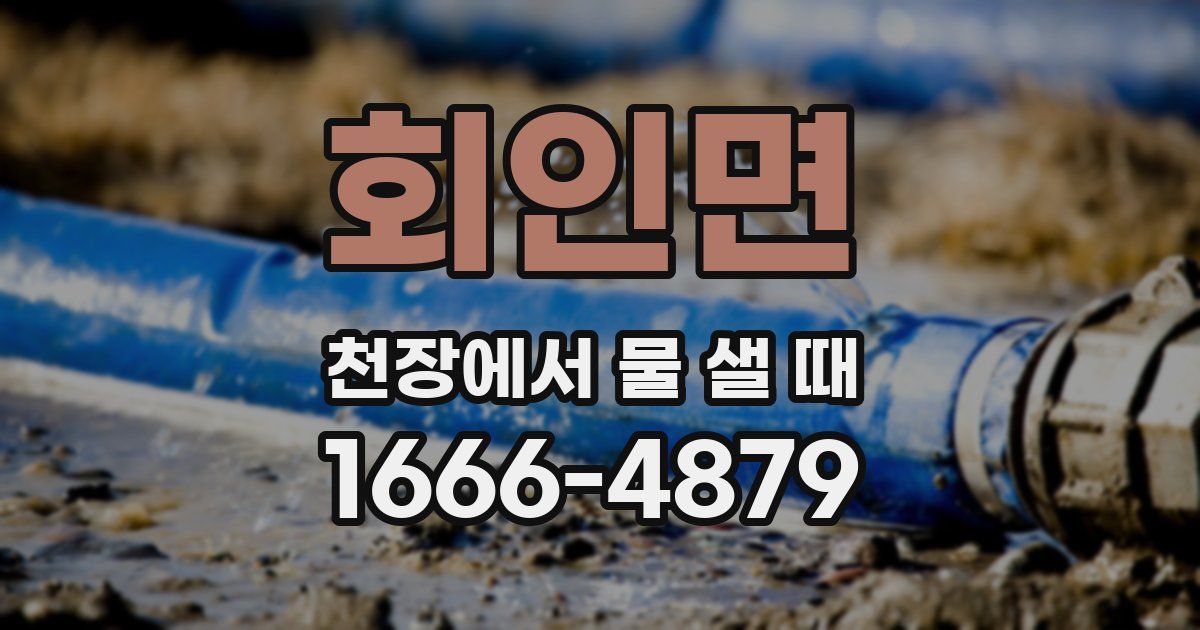 회인면 천장에서 물 샐 때
