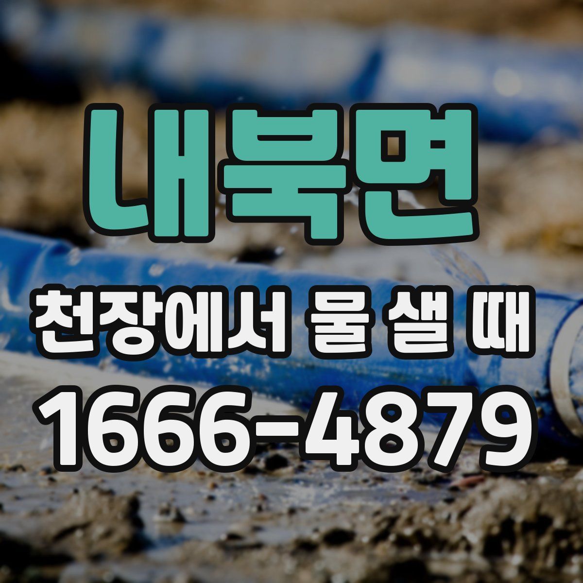 내북면 천장에서 물 샐 때