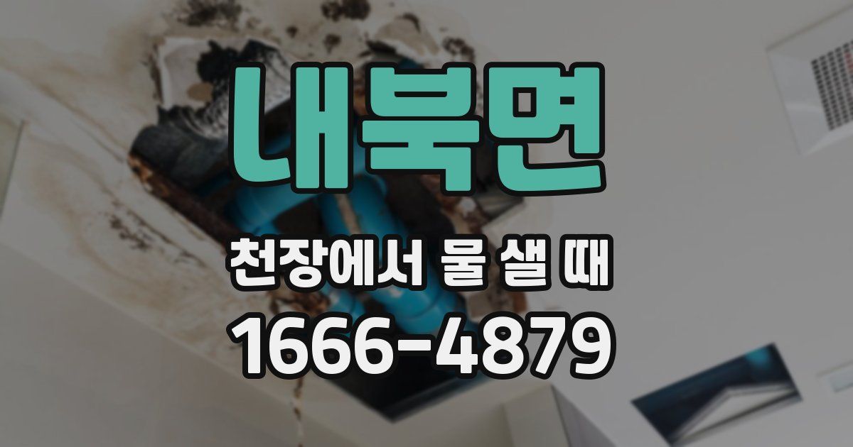 내북면 천장에서 물 샐 때