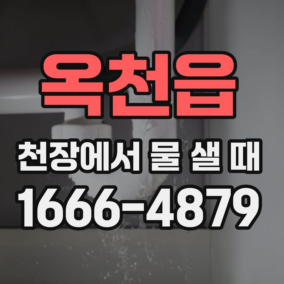 옥천읍 천장에서 물 샐 때
