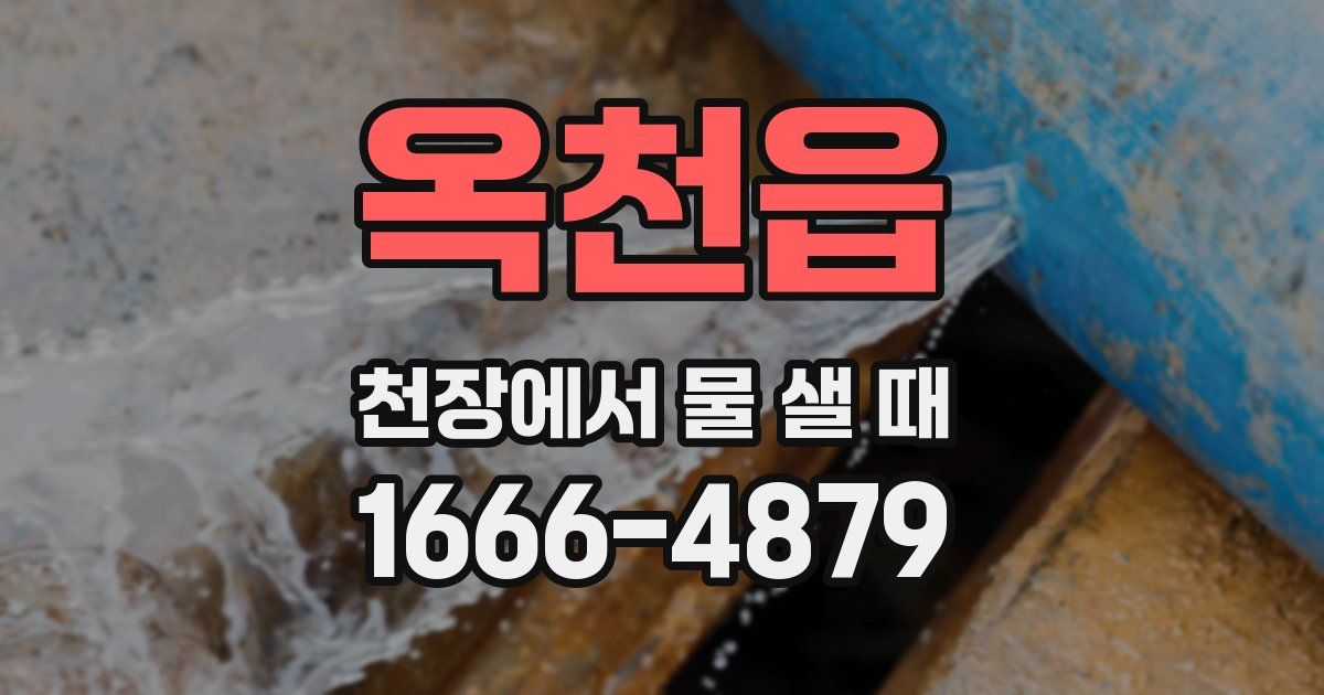 옥천읍 천장에서 물 샐 때