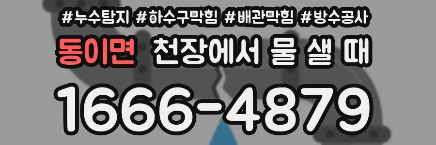 동이면 천장에서 물 샐 때