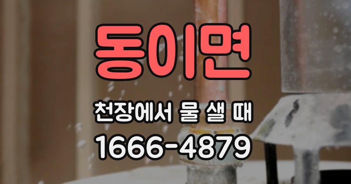 동이면 천장에서 물 샐 때