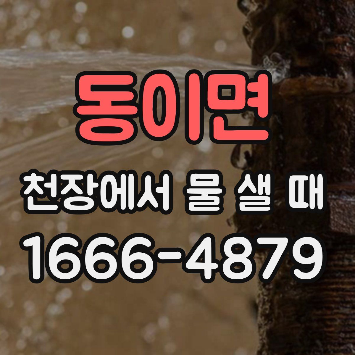 동이면 천장에서 물 샐 때