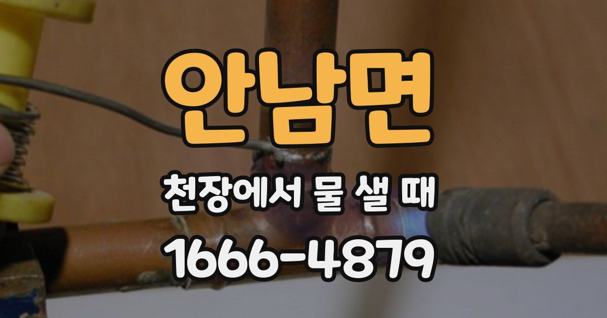 안남면 천장에서 물 샐 때