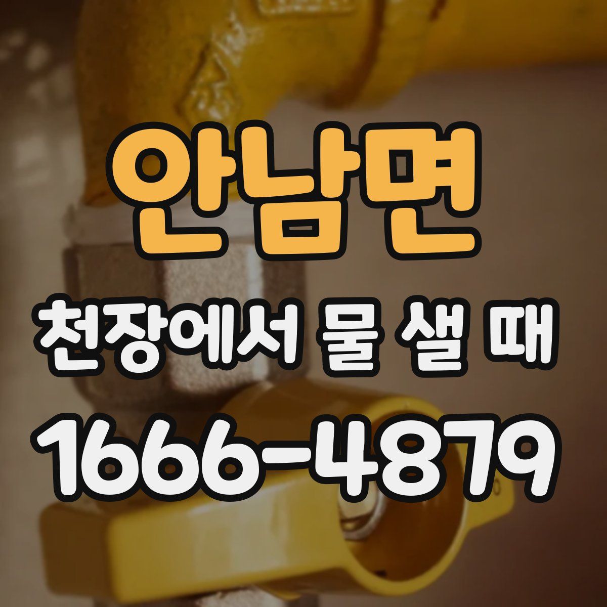 안남면 천장에서 물 샐 때
