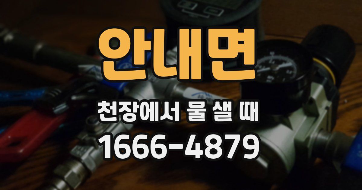 안내면 천장에서 물 샐 때