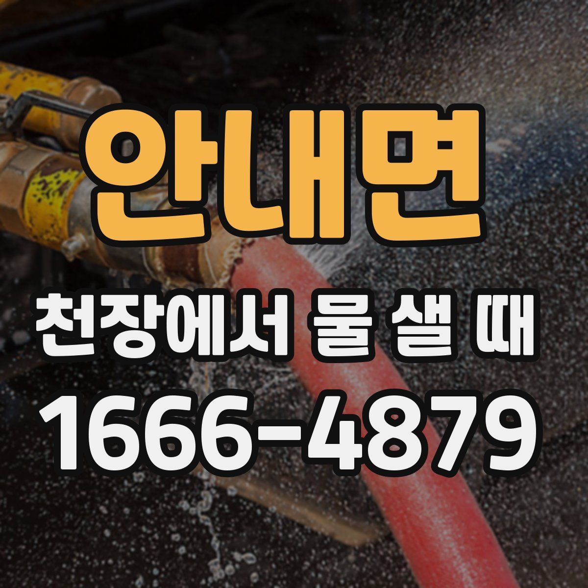 안내면 천장에서 물 샐 때