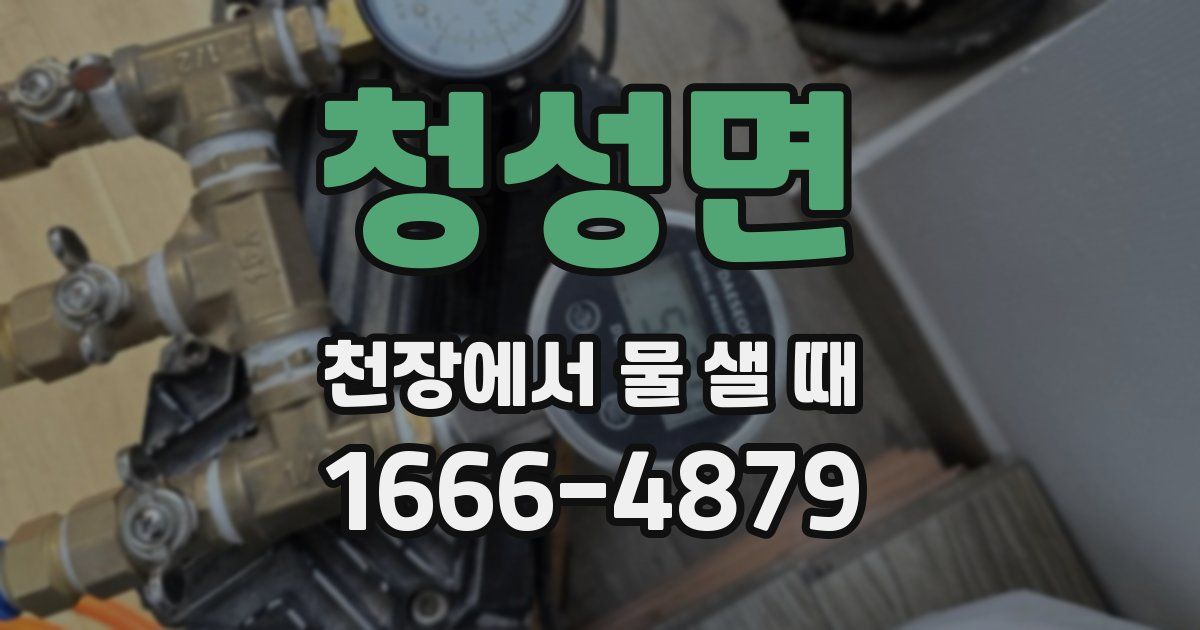 청성면 천장에서 물 샐 때