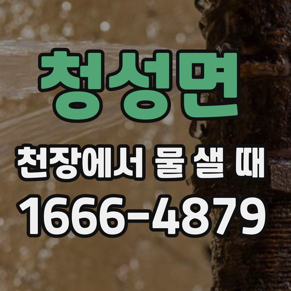 청성면 천장에서 물 샐 때