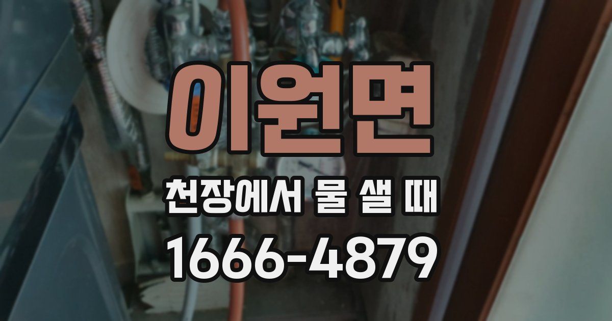 이원면 천장에서 물 샐 때
