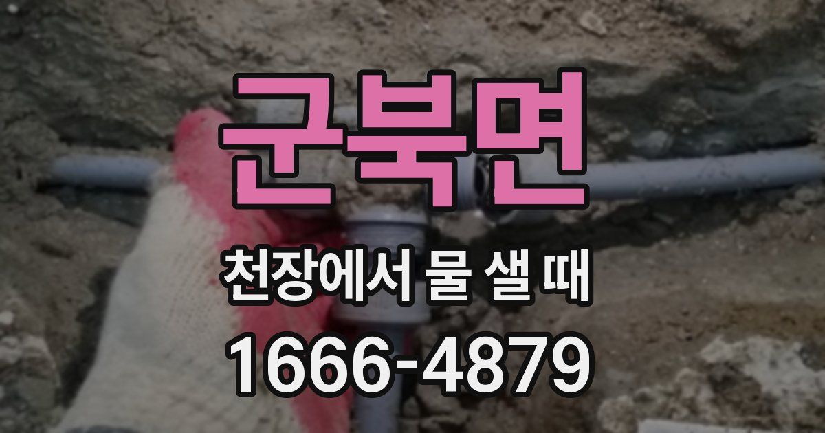 군북면 천장에서 물 샐 때