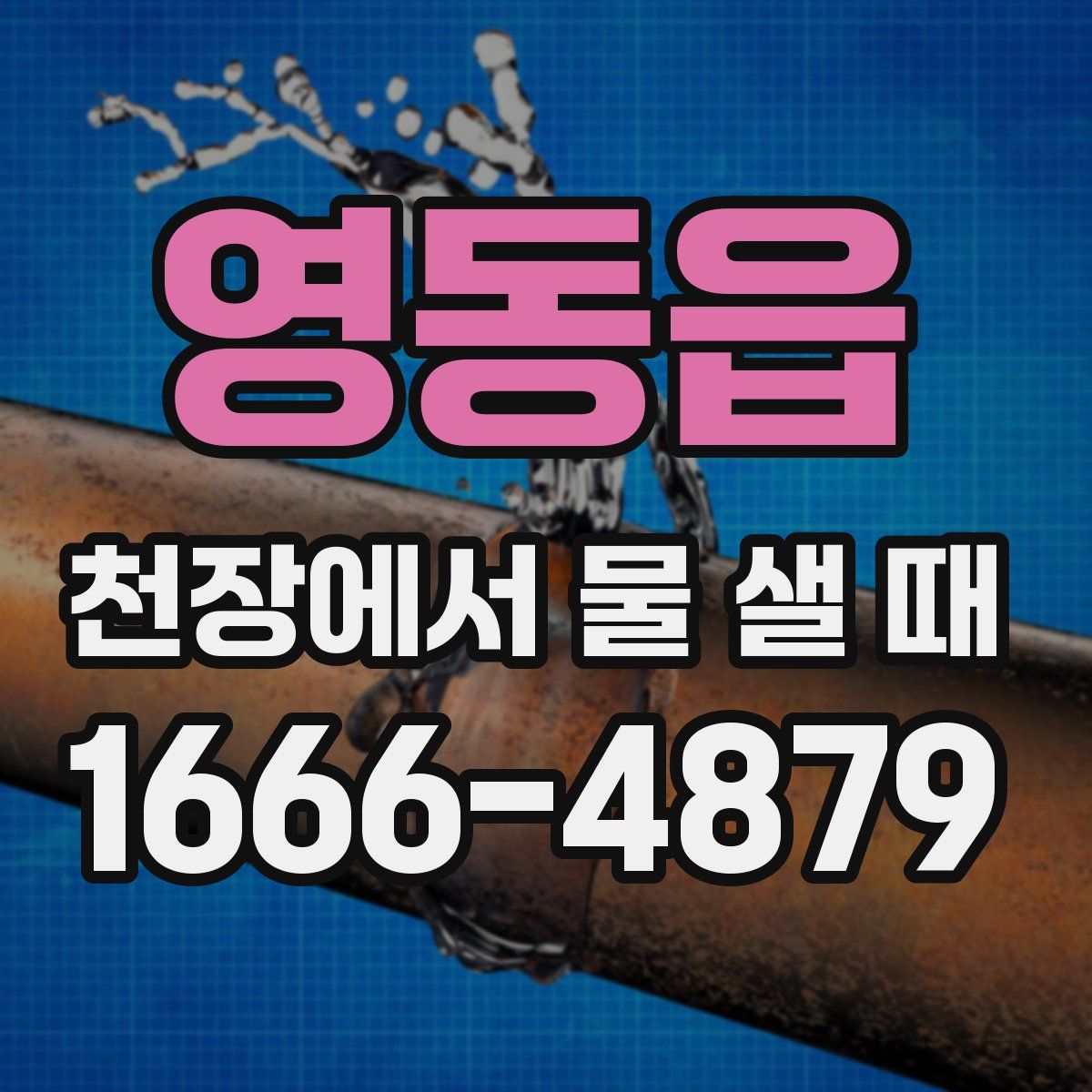 영동읍 천장에서 물 샐 때
