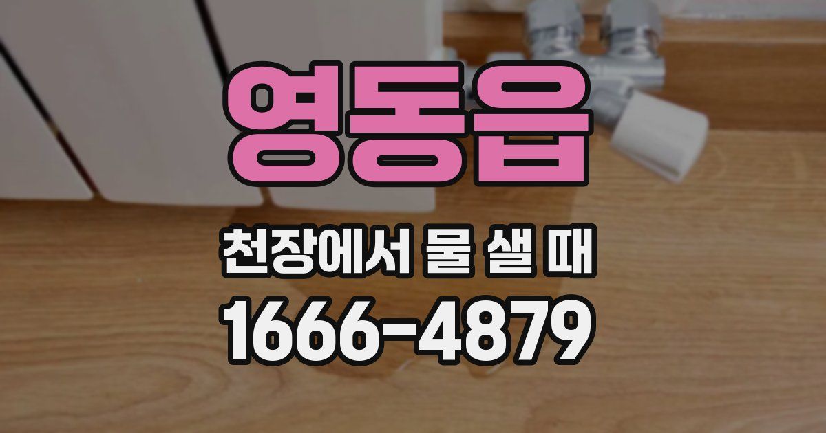 영동읍 천장에서 물 샐 때