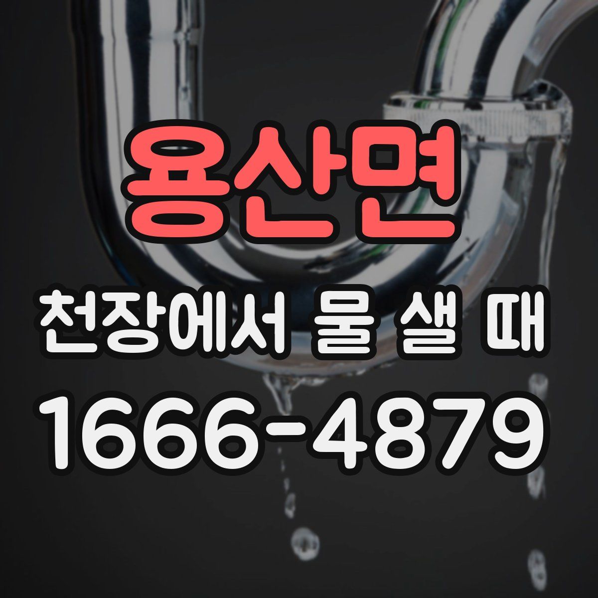 용산면 천장에서 물 샐 때