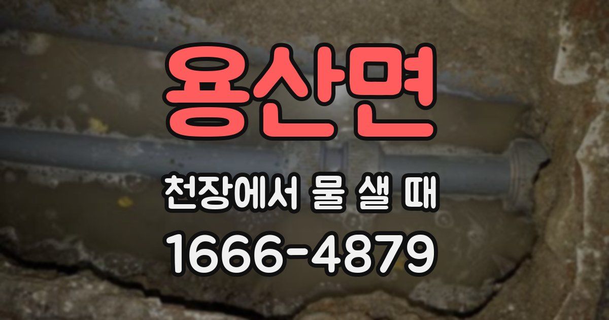용산면 천장에서 물 샐 때