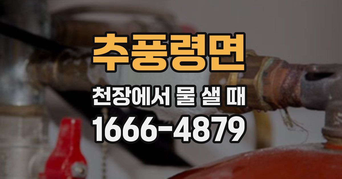 추풍령면 천장에서 물 샐 때