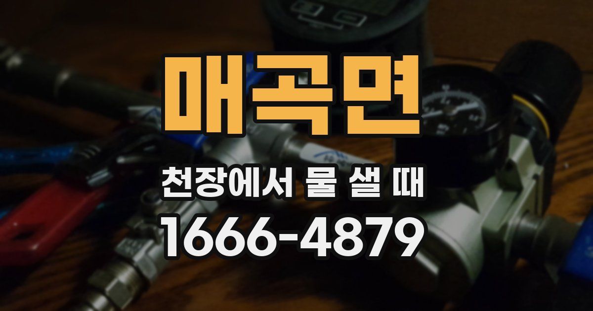 매곡면 천장에서 물 샐 때