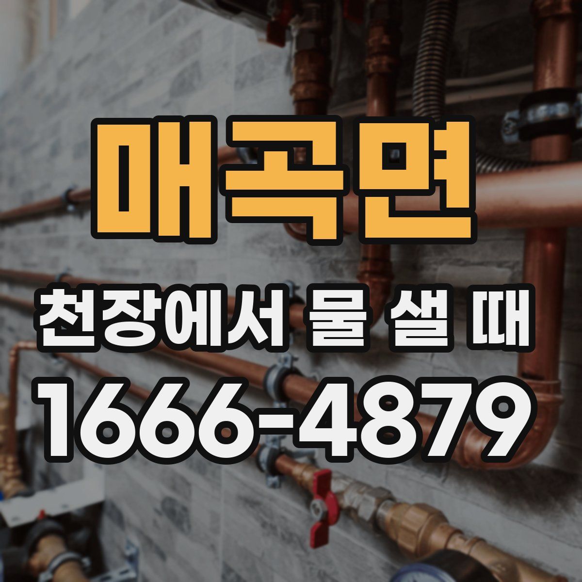 매곡면 천장에서 물 샐 때