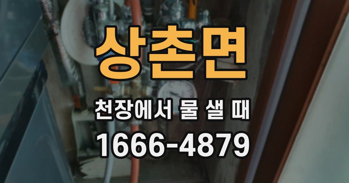 상촌면 천장에서 물 샐 때