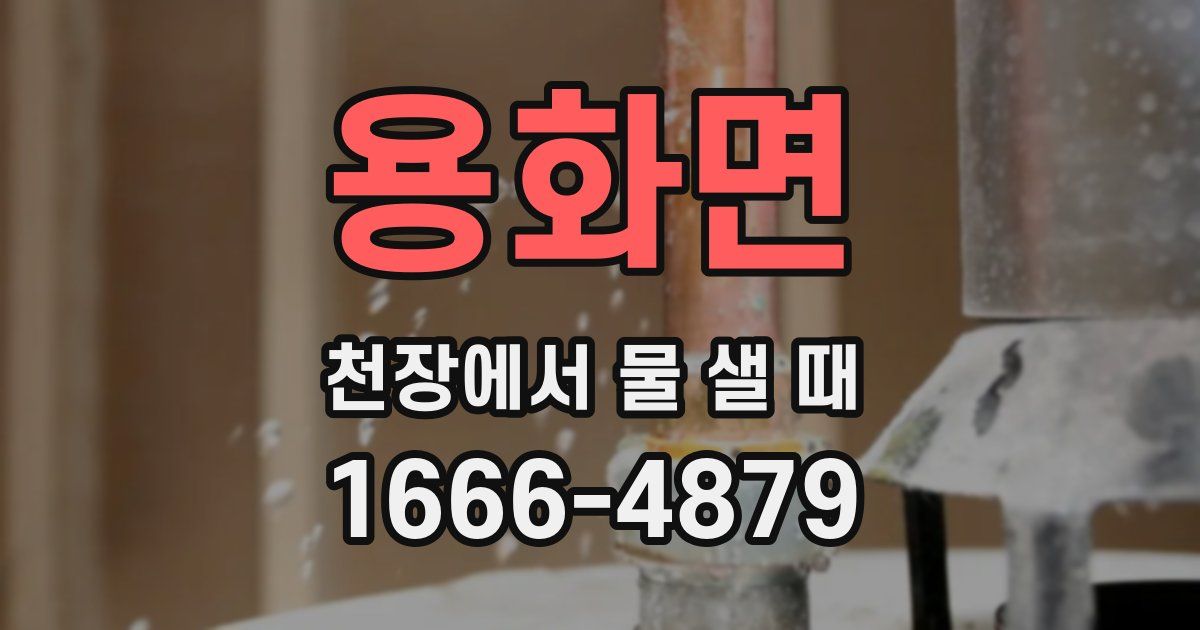 용화면 천장에서 물 샐 때