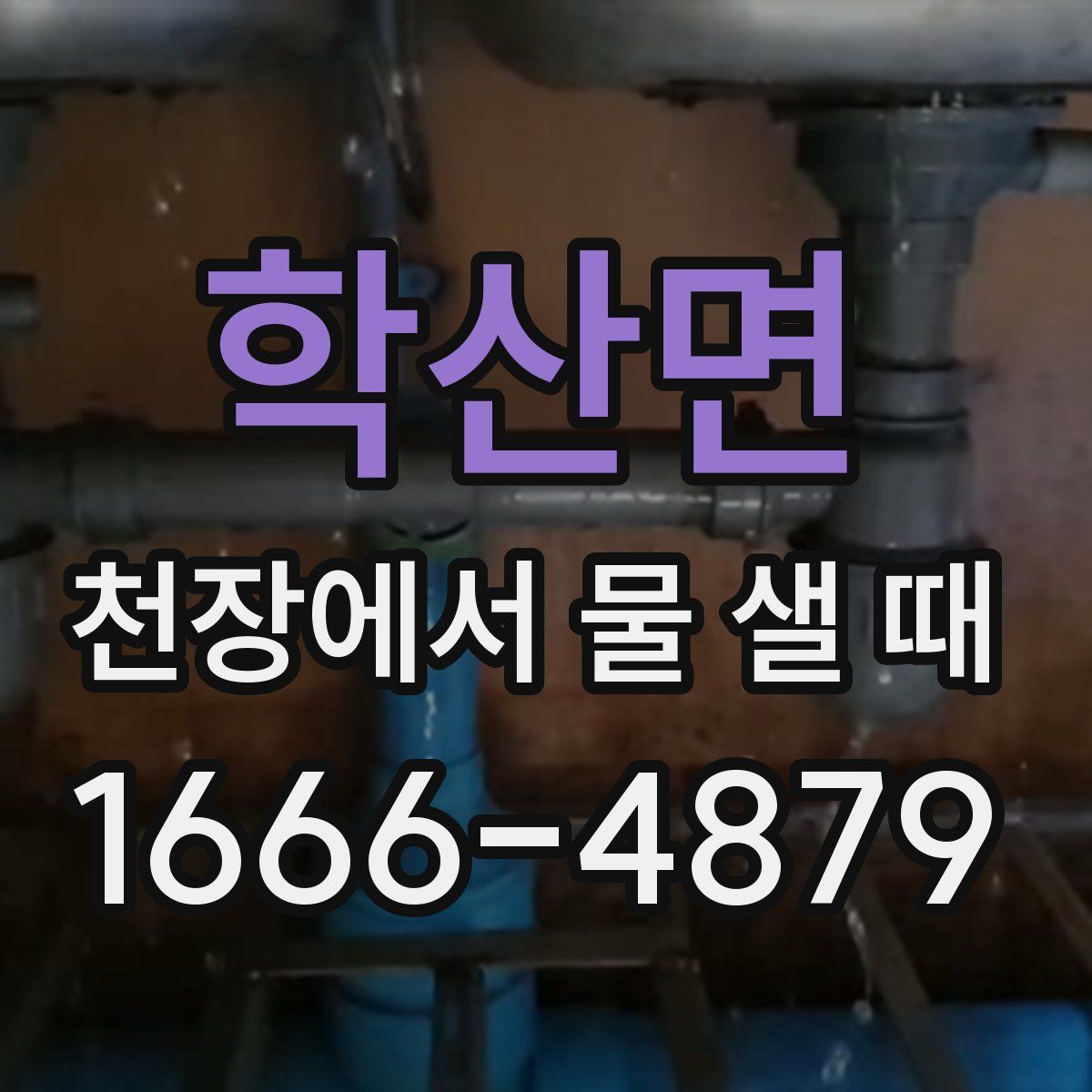학산면 천장에서 물 샐 때