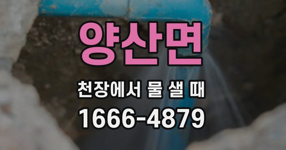 양산면 천장에서 물 샐 때