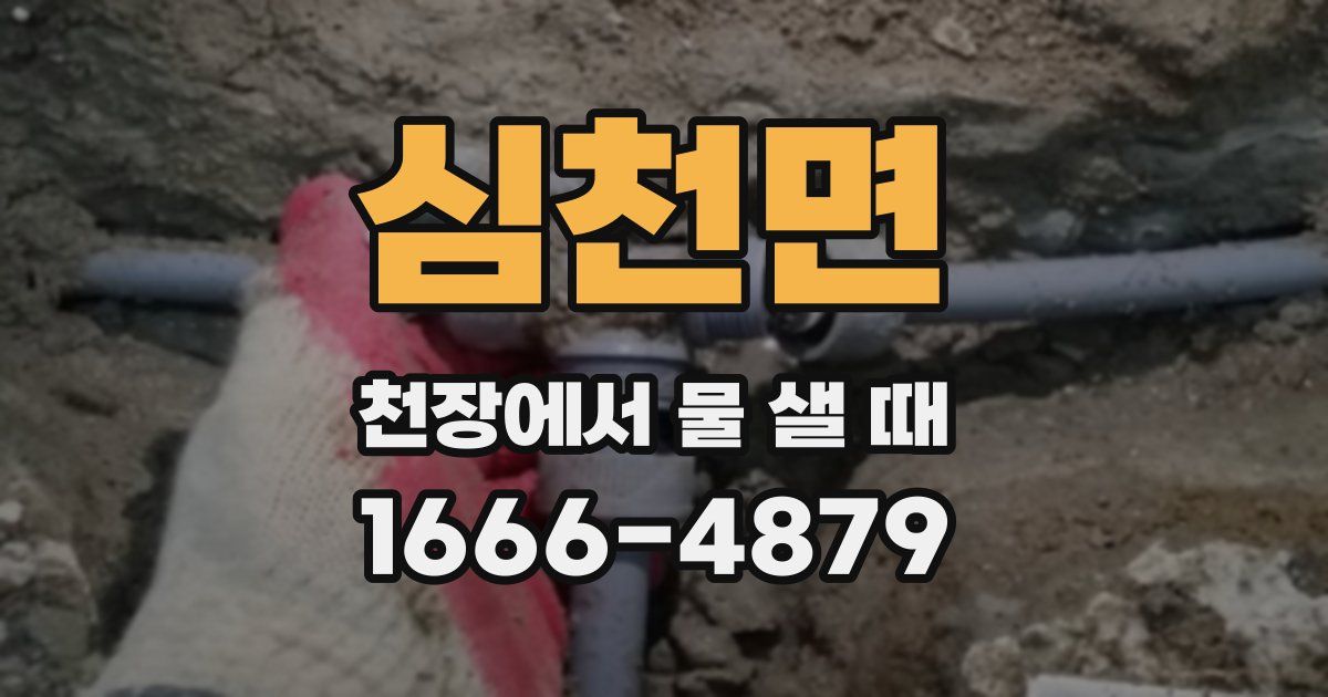심천면 천장에서 물 샐 때