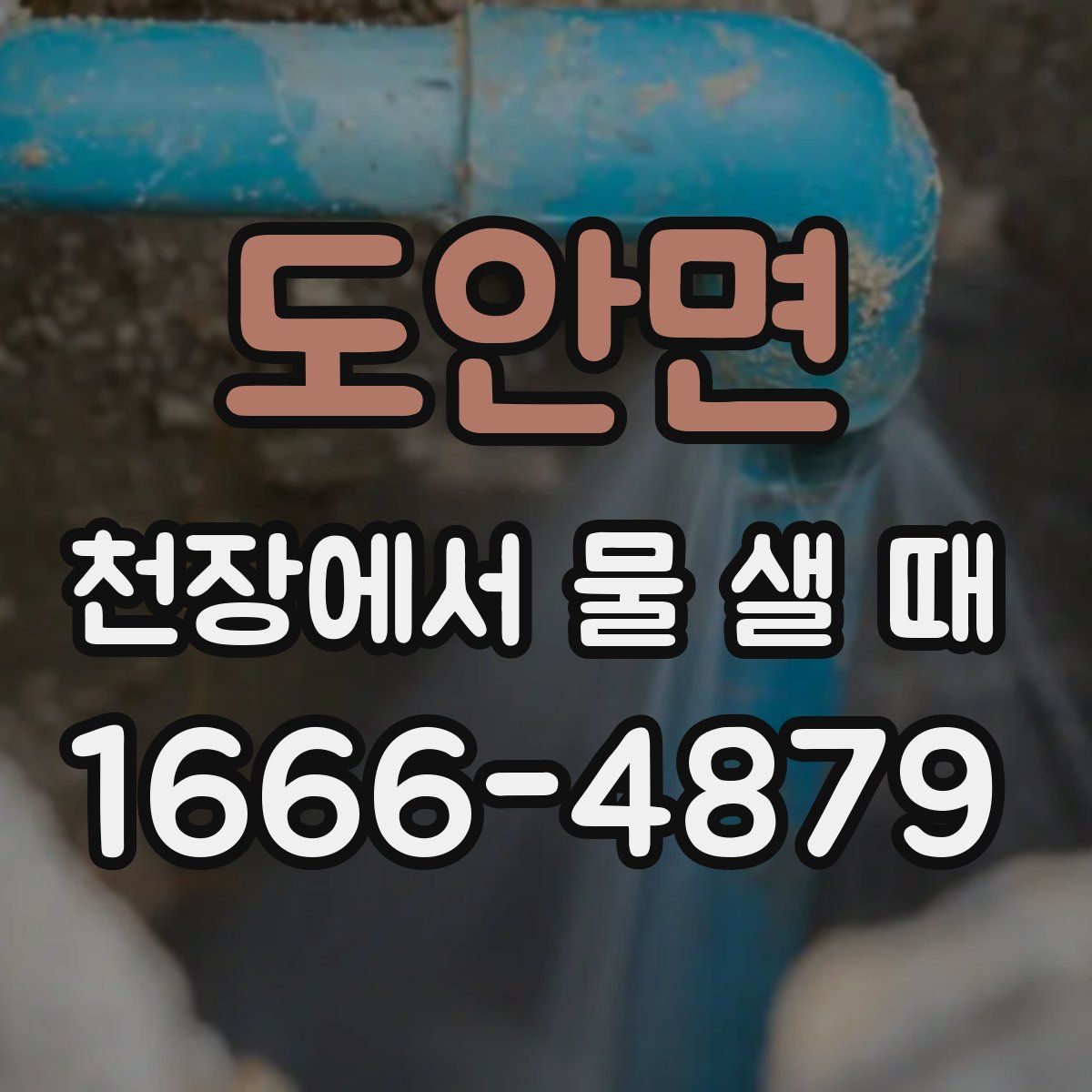 도안면 천장에서 물 샐 때