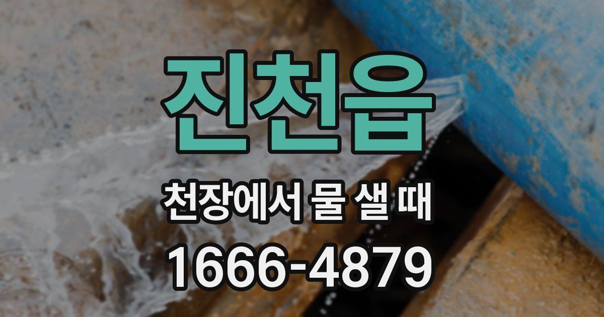 진천읍 천장에서 물 샐 때