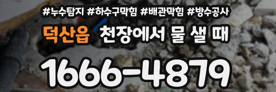덕산읍 천장에서 물 샐 때