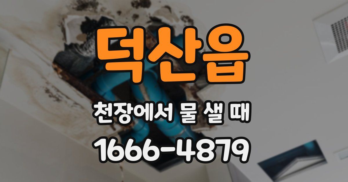 덕산읍 천장에서 물 샐 때
