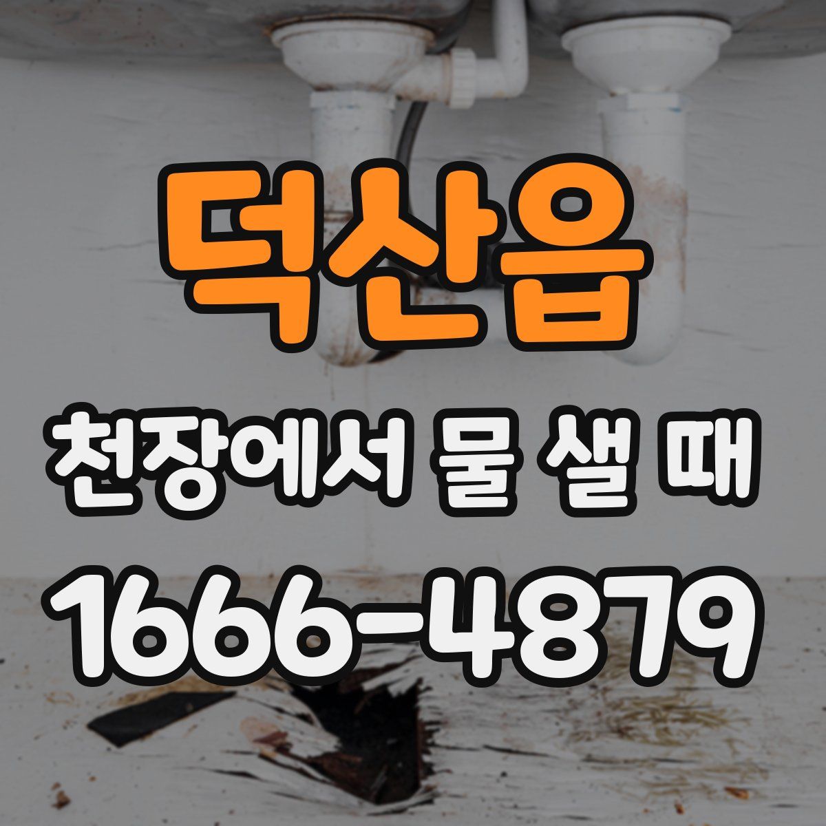 덕산읍 천장에서 물 샐 때