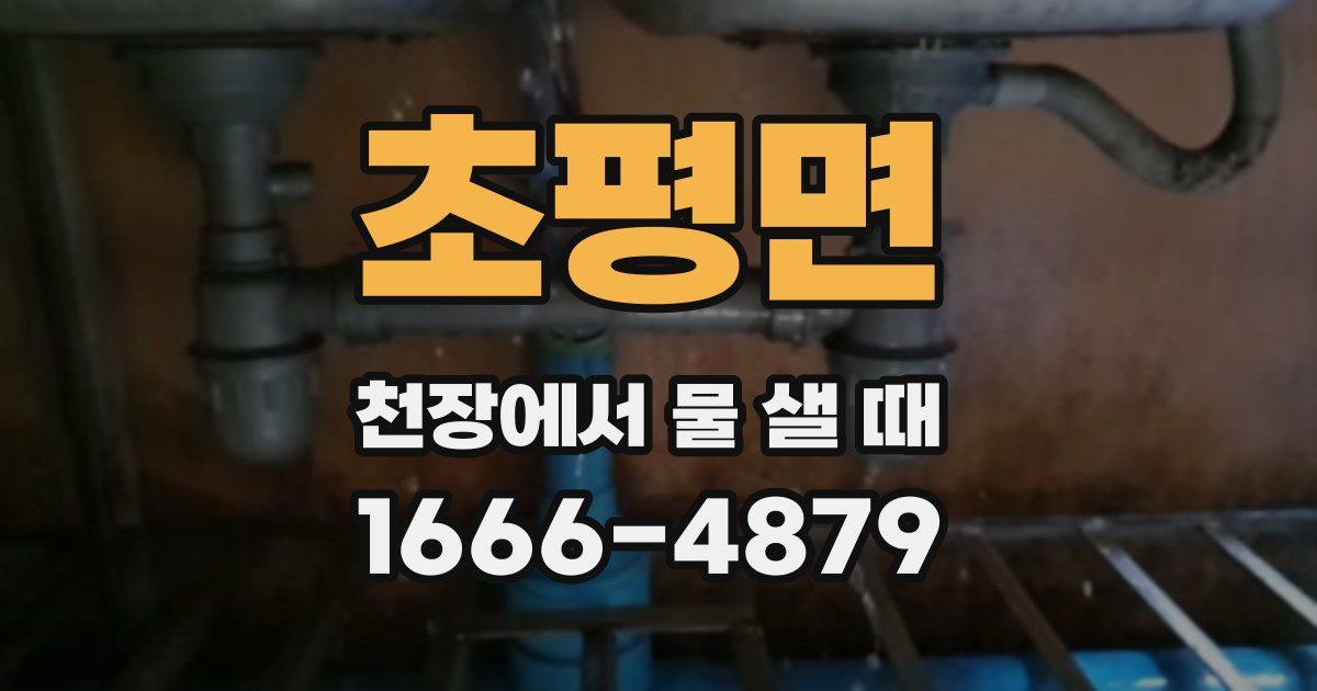 초평면 천장에서 물 샐 때