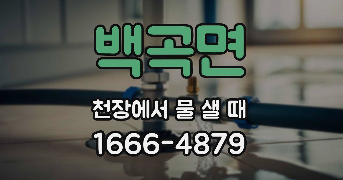 백곡면 천장에서 물 샐 때