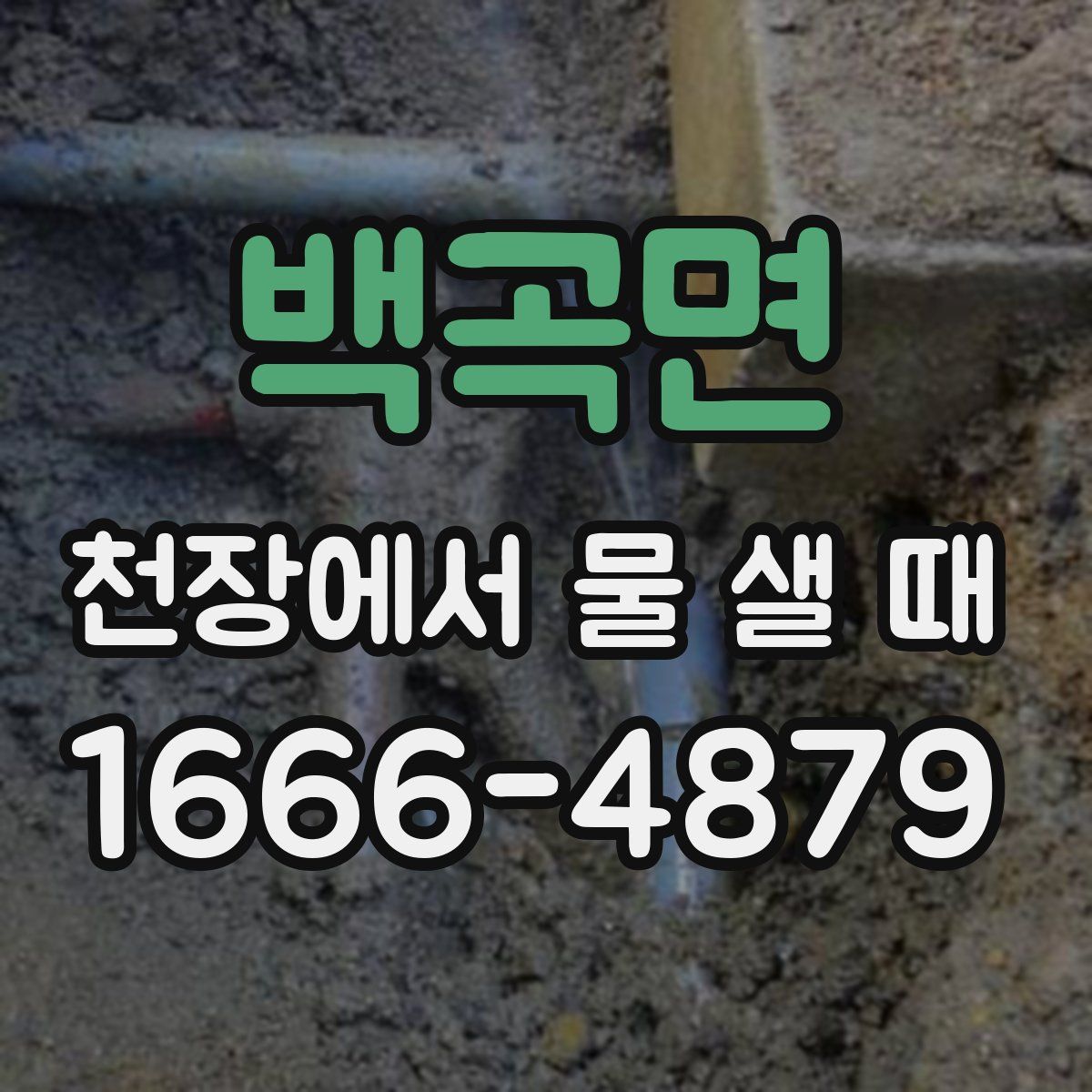 백곡면 천장에서 물 샐 때