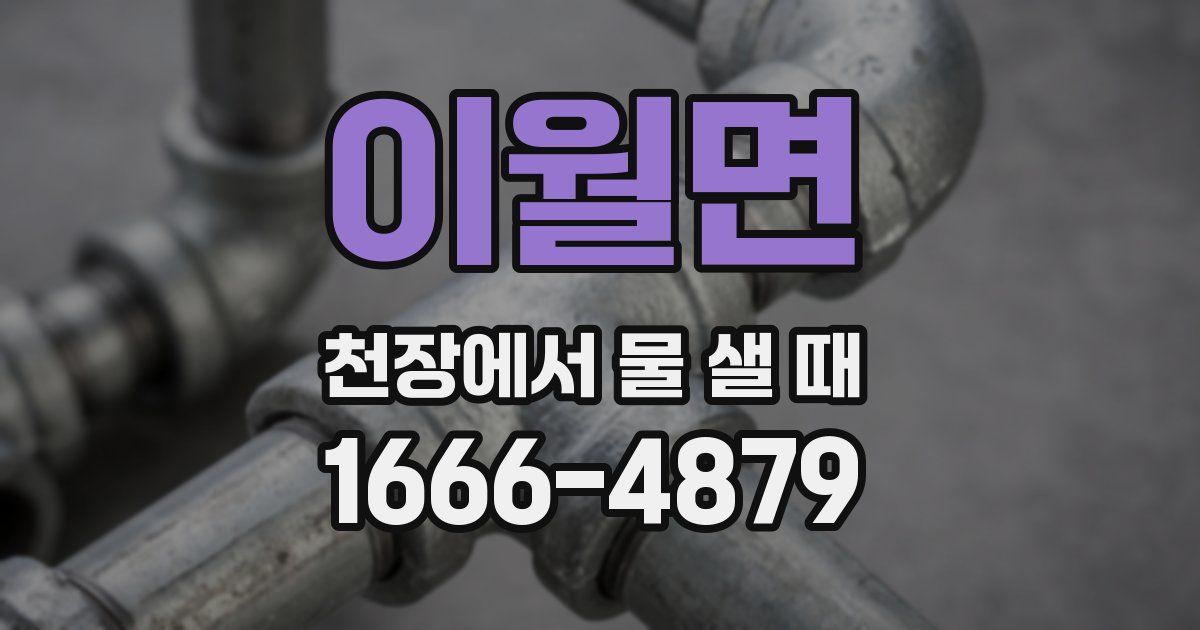 이월면 천장에서 물 샐 때