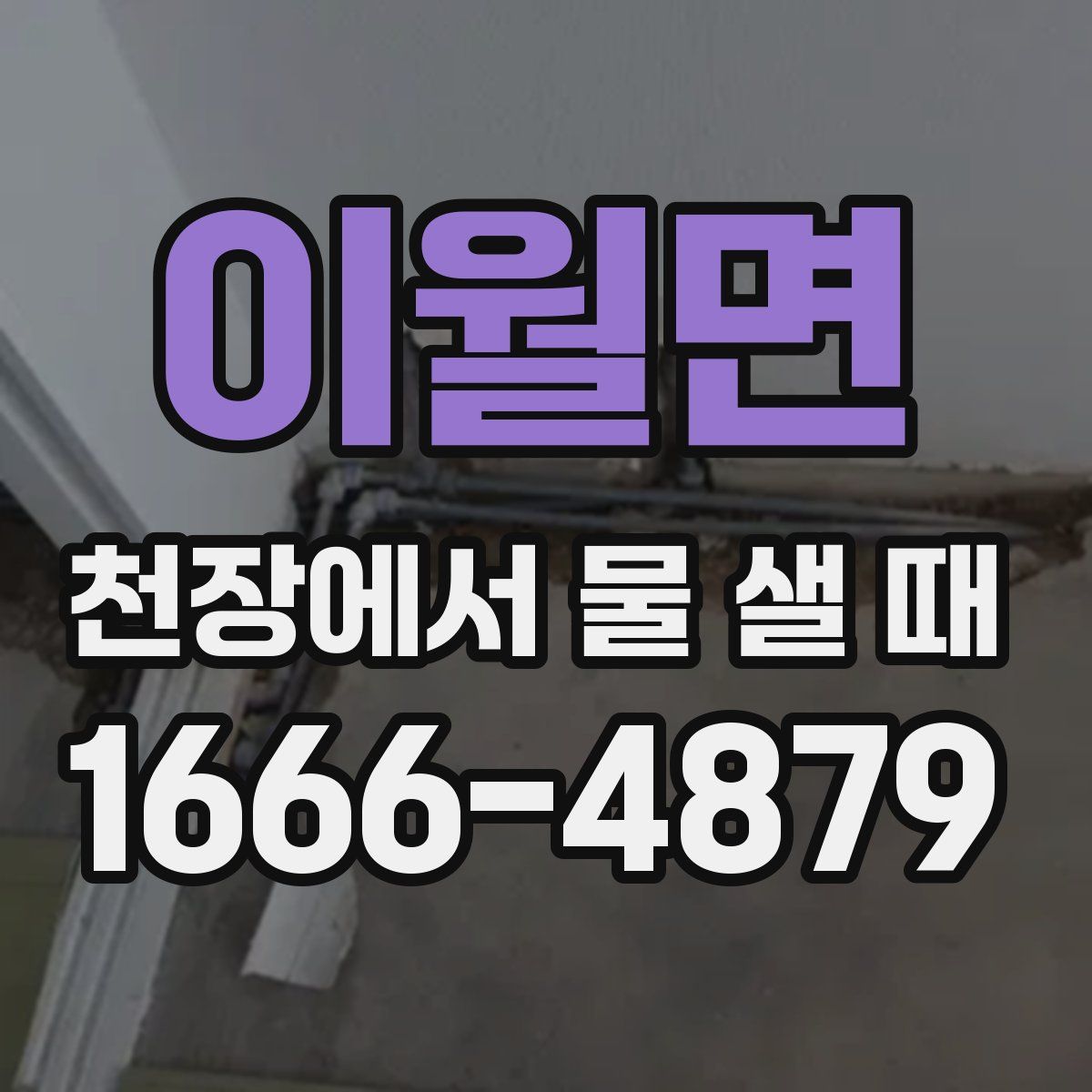 이월면 천장에서 물 샐 때