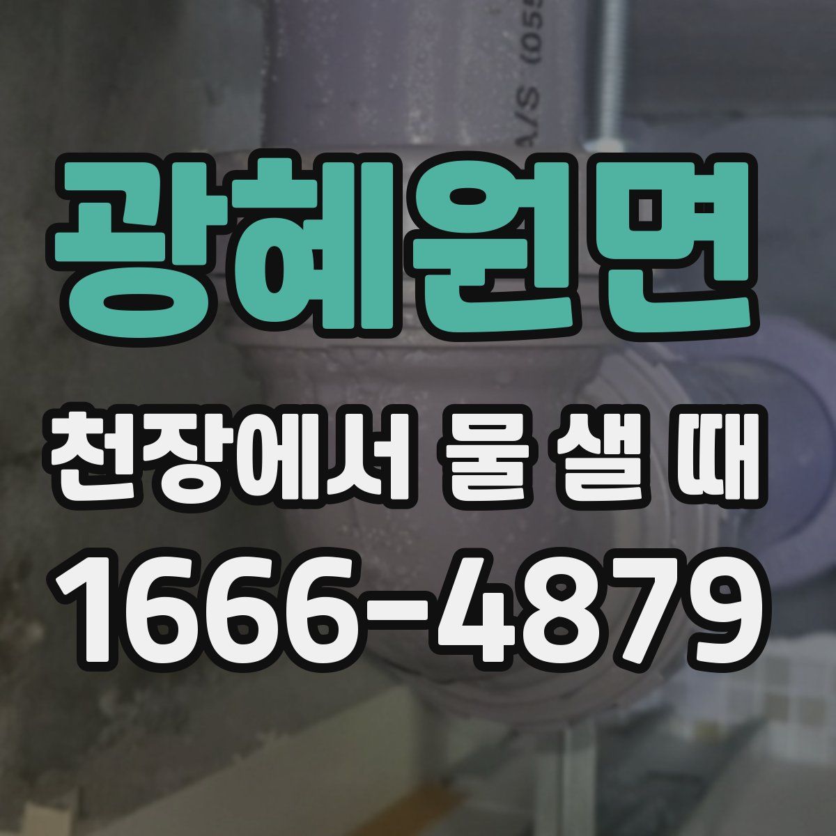 광혜원면 천장에서 물 샐 때