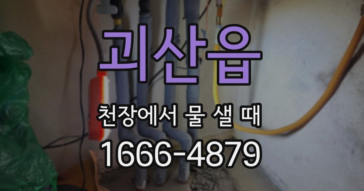 괴산읍 천장에서 물 샐 때