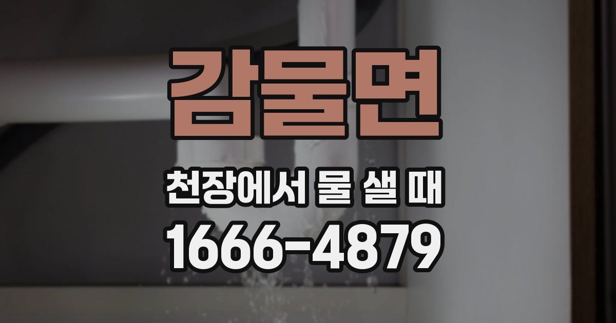 감물면 천장에서 물 샐 때