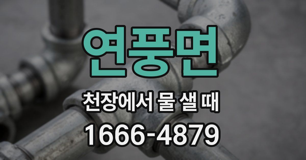 연풍면 천장에서 물 샐 때