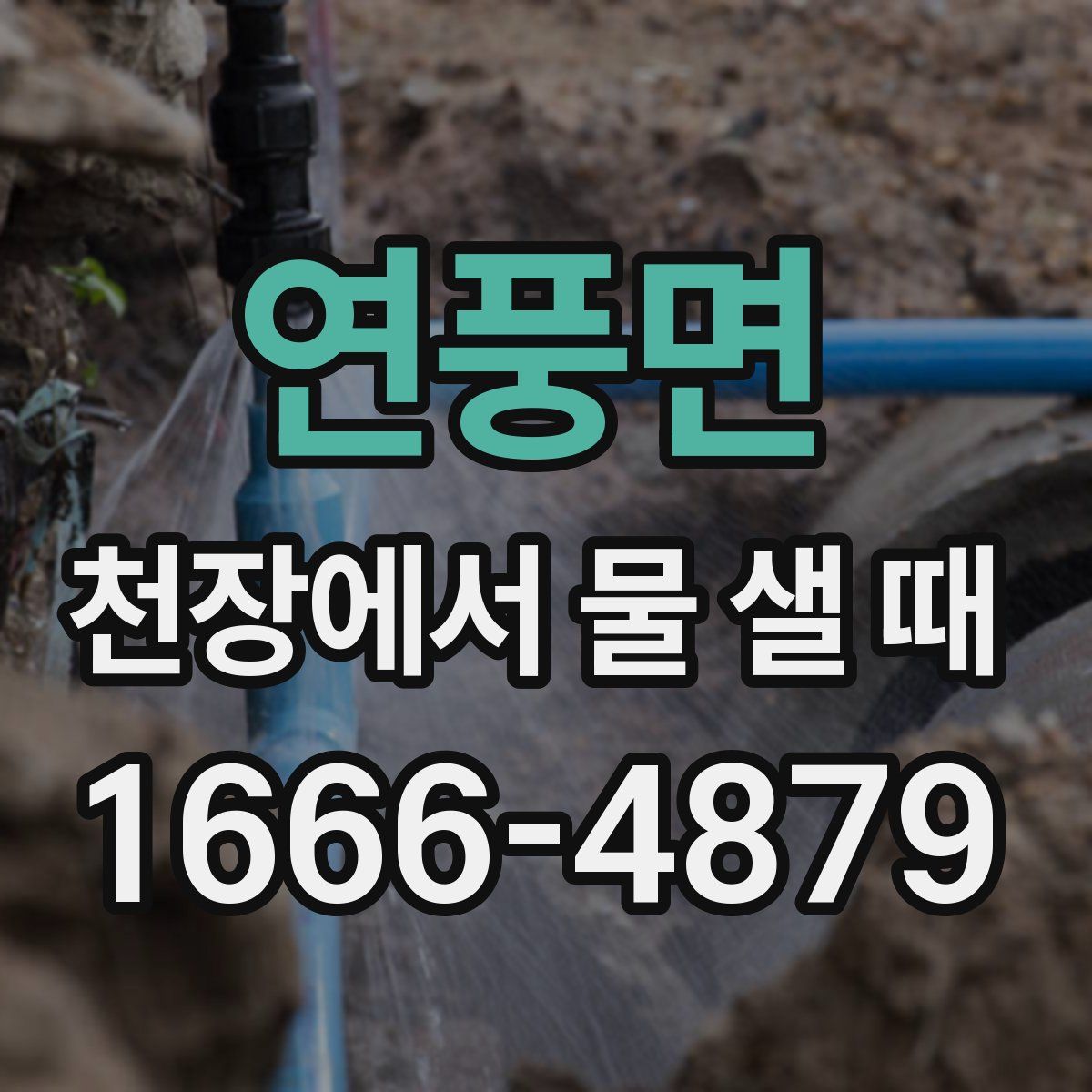 연풍면 천장에서 물 샐 때