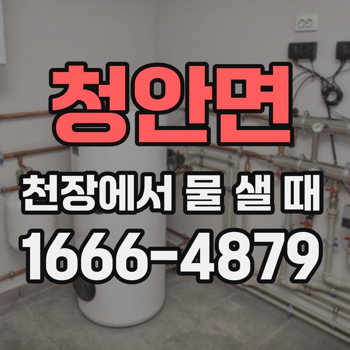 청안면 천장에서 물 샐 때