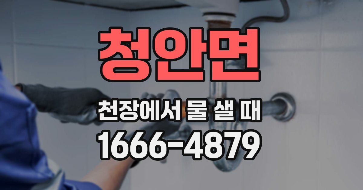 청안면 천장에서 물 샐 때