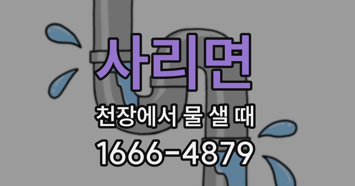 사리면 천장에서 물 샐 때