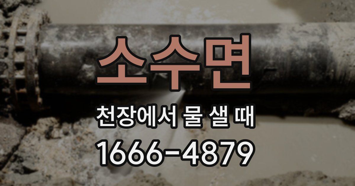 소수면 천장에서 물 샐 때