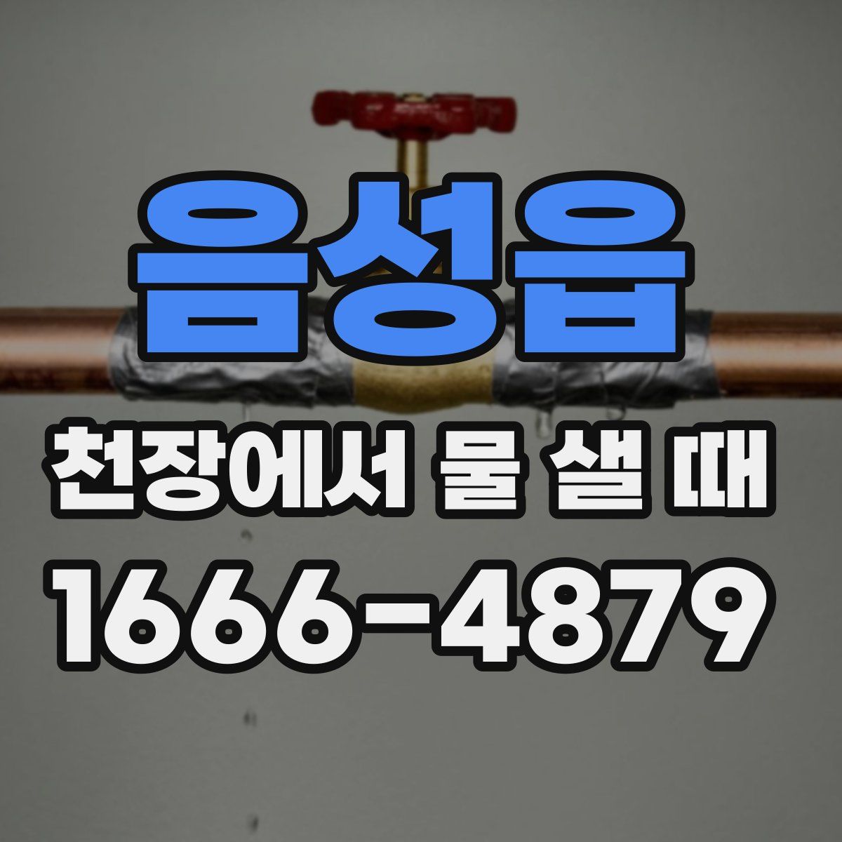 음성읍 천장에서 물 샐 때