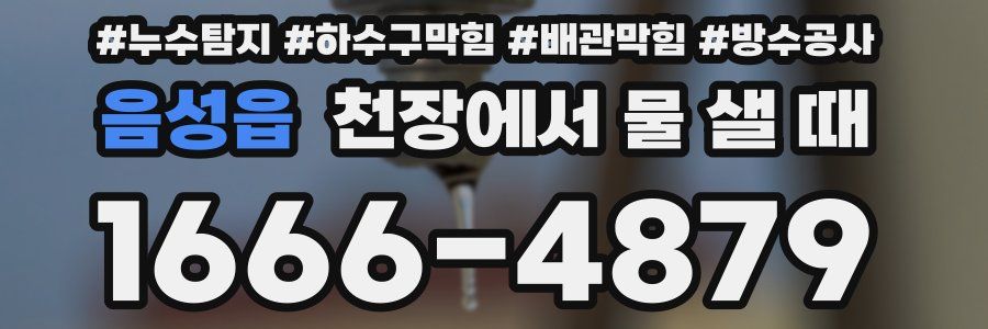 음성읍 천장에서 물 샐 때