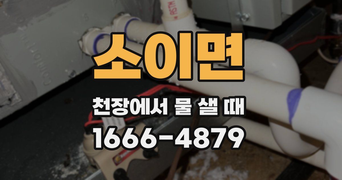 소이면 천장에서 물 샐 때